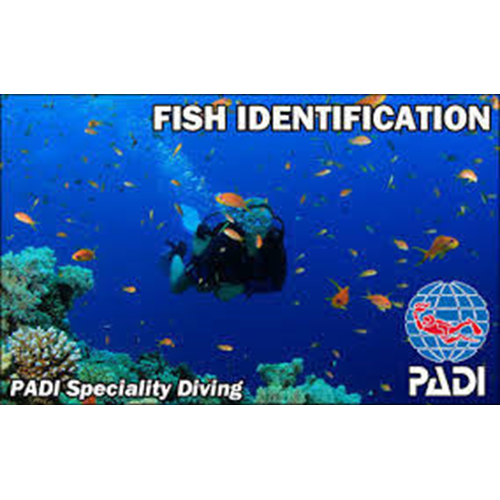 Fish Identification Course